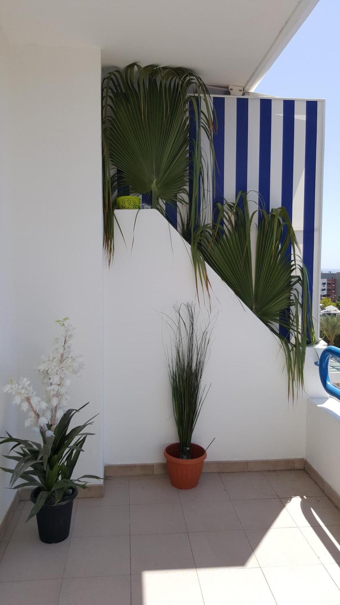 Paraiso Del Sur